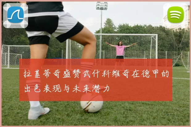 拉基蒂奇盛赞武什科维奇在德甲的出色表现与未来潜力